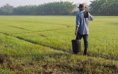 Divulgadas regras para adesão ao Programa de Regularização Tributária Rural com novo prazo