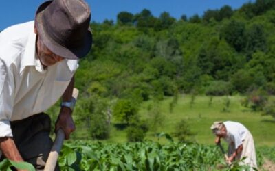 Prazo de adesão ao Refis Rural é prorrogado para 30 de maio