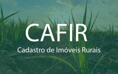 Receita Federal simplifica o Cadastro de Imóveis Rurais (Cafir)